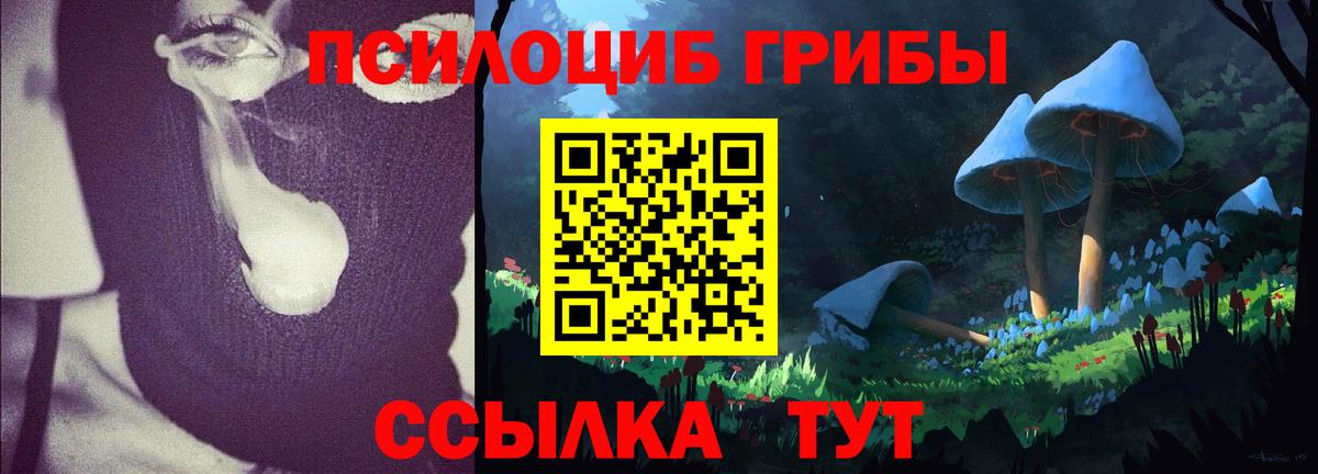 Галлюциногенные грибы мухоморы Топки